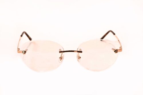משקפיי ראיה קרטייה-ct00280 003 – cartier